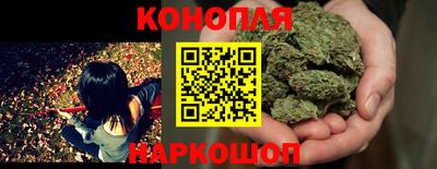 мдпв Нальчик